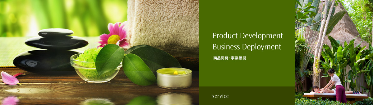 Product Development Business Deployment